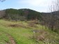 The view from the property
