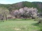 Near the property