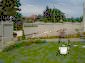 The garden