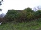 Near the house