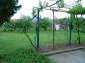 The garden