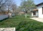 The garden