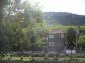 The estate