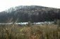 The view from the house