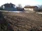 The yard