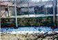 Houses for sale near Plovdiv