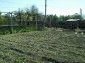 the yard