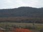 The view from the property