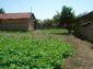 The yard with the house