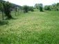 The property