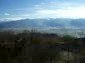 The view