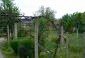 The garden