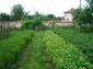 The land