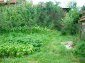 The property