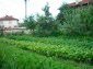 The plot of land