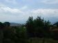The land