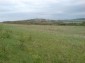 The land