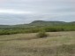 The land