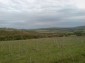 The land
