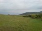 the property