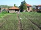 Part of the garden