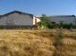 The estate