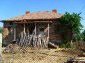 The house