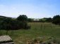 The garden