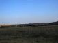 The land