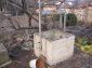 In the yard