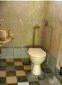 The toilet