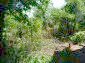 The garden