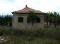 The house