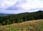 The land