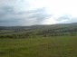 The land