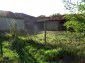 The garden