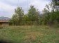The garden