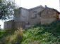 The estate