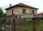 The estate