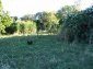 The land