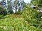 The yard