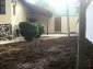 Part of the garden
