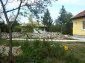 The garden