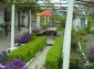 Lovely garden