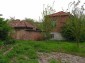The yard