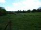 Lands for sale near Yambol