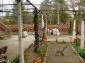 the garden