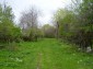 The land