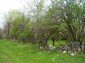 The property