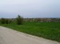 the way leading to the house